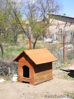 Дом продается. - Изображение #9, Объявление #1631813