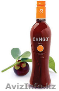 XANGO(сок плода мангустин) витаминный комплекс  - Изображение #2, Объявление #200452